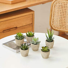 Load image into Gallery viewer, PRIMAISON Artificial Succulents Plants Potted Set-Decorative Fake Succulent Plant Faux Plastic Plant Indoor &Outdoor for House Office Desk Bathroom Kitchen DIY Decor Gift Set of 6