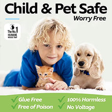 Load image into Gallery viewer, Humane Mouse Trap for Indoors Outdoors - Live Catch Release - Highly Sensitive and Secure - Pet and Child Safe - Reusable - Easy to Clean - Animal Eco Friendly - Capture Mice Alive No Kill
