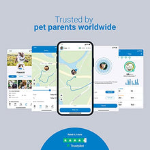 Load image into Gallery viewer, Tractive GPS CAT 4 (2022). Cat tracker. Follow every step in real-time. Unlimited Range. Activity Monitoring (w/ midnight blue collar attachment)