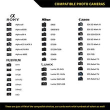 Load image into Gallery viewer, SD UHS-II 64GB Card V90 –Up to 250MB/s Write Speed and 300 MB/s Read Speed | For Professional Vloggers, Filmmakers, Photographers & Content Curators – By Prograde Digital