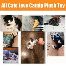 Load image into Gallery viewer, 12 Pcs Cat Toys for Indoor Cats Kitten Plush Catnip Toy Cat Teeth Cleaning Toys Interactive Cat Feather Teaser Wand Spring Toy