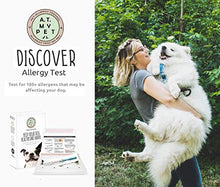 Load image into Gallery viewer, Canine Allergy Test Allergy - Dog- Household, Environmental Allergy & Food Sensitivity Test