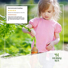Load image into Gallery viewer, Grow Your Own Seed Kit - 12 Vegetable Seed Varieties, 5 100 Heirloom Seeds Ready to Grow - Vegetable Growing Kit for Women, Kids, Beginners, Gardeners Gift - Carrot, Onion, Courgette, Radish, Tomato