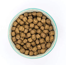 Load image into Gallery viewer, Burns Pet Nutrition Hypoallergenic Complete Dry Dog Food Adult and Senior Dog Sensitive with Duck and Brown Rice 2 kg