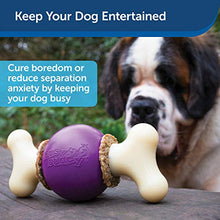 Load image into Gallery viewer, PetSafe Busy Buddy Bouncy Bone M Durable Dog Chew Toy, Dog Toy Bone with Treat Rings - Medium