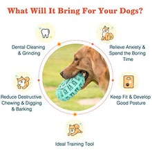 Load image into Gallery viewer, Lewondr Indestructible Dog Toys For Aggressive Chewers, Tough Rubber Natural Treat Dispenser, Interactive Dog Chew Toy for Boredom Medium Large Dogs, Dog Dental Care,Mint Green