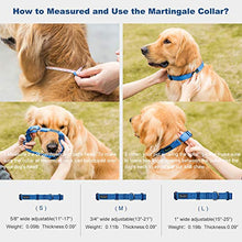 Load image into Gallery viewer, Dazzber Martingale Collars for Dogs Adjustable Durable Dog Collar Solid Color Nylon Dog Collars for Large/Medium/Small Dogs (Extra Small (Pack of 1), Royal Blue)