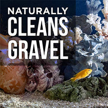 Load image into Gallery viewer, Natural Rapport Aquarium Gravel Cleaner for Fish Tanks - Removes Excess Fish Food and Waste - Naturally Removes Toxins Better than Pump Kits - 2-in-1 Solution Works in Both Freshwater & Saltwater - 16 fl oz (473 mL)