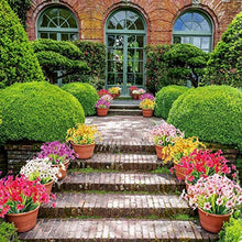 Load image into Gallery viewer, Ruiuzioong Artificial Violet Flowers Outdoor UV Resistant Fake Flowers 6pack No Fade Faux Plastic Plant Shrubs Greenery for Indoor Outside Hanging Planter Window Box Patio Home Decor (Rose Red)