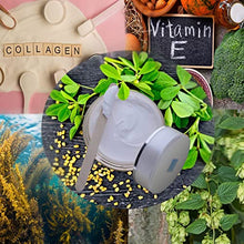 Load image into Gallery viewer, FORTE Breast Firming Cream with Collagen & Fenugreek to Firm, Lift, Increase and Volumize the Breast - Cream for Bust, Neck & Neckline - 200 ml · 7.03 fl oz