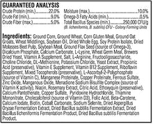 Load image into Gallery viewer, Kaytee Exact Hand Feeding For Baby Birds, 18 Ounce, 1.12 Pound (Pack of 1)