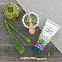 Load image into Gallery viewer, Aloe Vera Shampoo (Dry) - 200ml