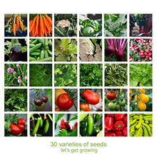 Load image into Gallery viewer, Scott & Co. Seed Sack - 30 Variety Pack of Mixed Vegetable and Herb Seeds, High Yield Indoor and Outdoor Planting Gardeners Heirloom Veg Set. Gardening Gift