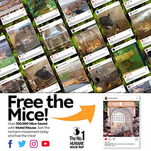 Load image into Gallery viewer, Humane Mouse Trap for Indoors Outdoors - Live Catch Release - Highly Sensitive and Secure - Pet and Child Safe - Reusable - Easy to Clean - Animal Eco Friendly - Capture Mice Alive No Kill