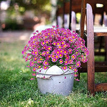 Load image into Gallery viewer, Ruiuzioong Artificial Daisy Flowers 4 Pack Outdoor Fake Flowers for Decoration No Fade Faux Plastic Flower Garden Porch Hanging Planter Farmhouse Window Box Décor (Fuchsia)