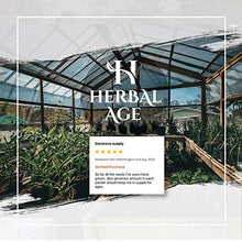 Load image into Gallery viewer, Grow Your Own Seed Kit - 12 Vegetable Seed Varieties, 5 100 Heirloom Seeds Ready to Grow - Vegetable Growing Kit for Women, Kids, Beginners, Gardeners Gift - Carrot, Onion, Courgette, Radish, Tomato