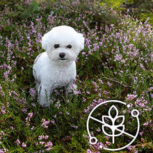 Load image into Gallery viewer, Nature's Protection Superior Care Sensitive Skin and Stomach Complete Dry Dog Food with Lamb For Adult Small and Mini breeds Dog, 6 Packs of 1.5 kg