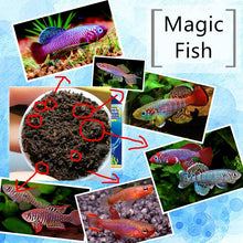 Load image into Gallery viewer, Grow Magic Soil + Water = Fishes Caviar Live Tank Sum Lamp Light Viewer Killifish Eggs soil Hatching Earth Pet Education Toys