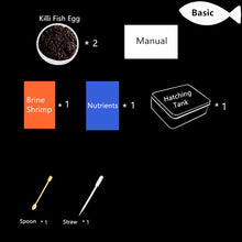 Load image into Gallery viewer, Grow Magic Soil + Water = Fishes Caviar Live Tank Sum Lamp Light Viewer Killifish Eggs soil Hatching Earth Pet Education Toys