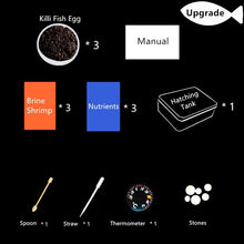 Load image into Gallery viewer, Grow Magic Soil + Water = Fishes Caviar Live Tank Sum Lamp Light Viewer Killifish Eggs soil Hatching Earth Pet Education Toys
