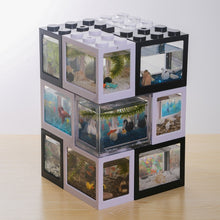 Load image into Gallery viewer, Grow Magic Soil + Water = Fishes Caviar Live Tank Sum Lamp Light Viewer Killifish Eggs soil Hatching Earth Pet Education Toys
