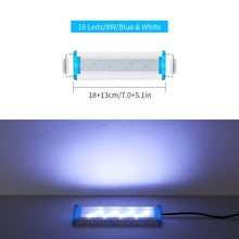 Load image into Gallery viewer, Grow Magic Soil + Water = Fishes Caviar Live Tank Sum Lamp Light Viewer Killifish Eggs soil Hatching Earth Pet Education Toys