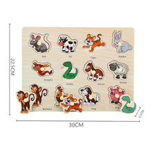 Load image into Gallery viewer, Kids 3D Puzzles Montessori Toys Wooden Puzzles Hand Grab Boards Toys Tangram Jigsaw Cartoon Vehicle Animals Fruits Puzzle