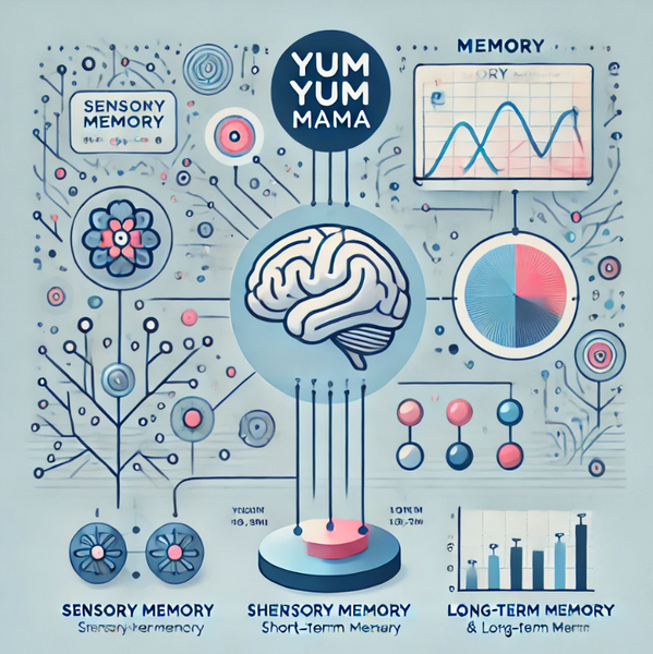 Multi Store Model of Memory Evaluation