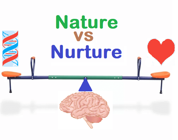 Nature Vs Nurture (Issues and Debates Model Answers) (Paper 3 Model Answers)
