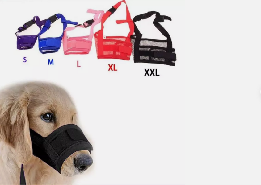 Do Muzzles Prevent Barking? Why They Are a Great Solution for Your Dog’s Barking Issues