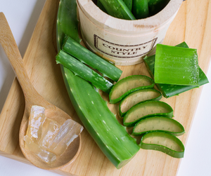 Aloe Vera Deodorant: The Natural and Effective Alternative