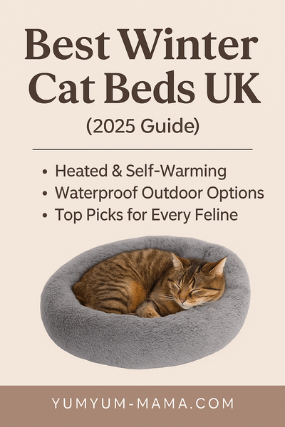 Best Winter Cat Beds UK (2025 Guide): Keep Your Cat Warm, Cozy & Happy All Season