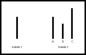 Social Influence  (Social Influence Model Answers) (Paper 1 Model Answers)