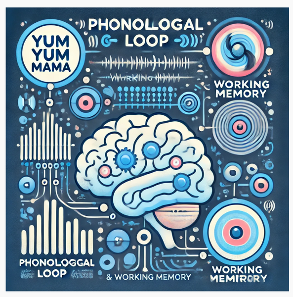 Phonological Loop Working Memory