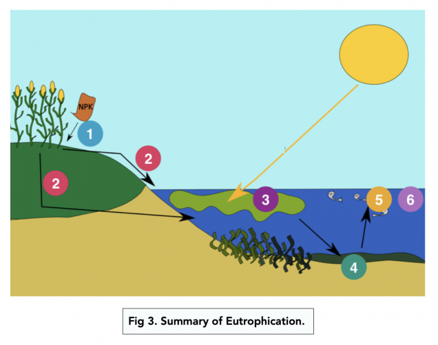 Factors Affecting Biodiversity