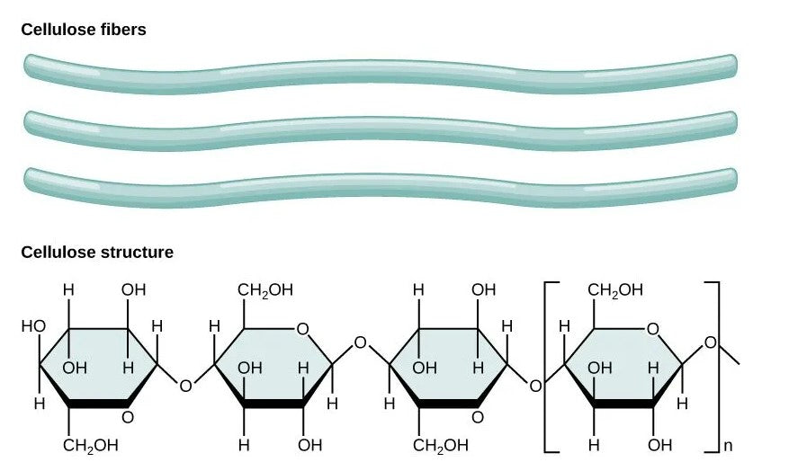 Cellulose