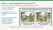 Load image into Gallery viewer, KS2 Making Laws, the Justice System and a Canine Example L1
