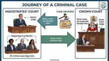 Load image into Gallery viewer, KS2 Making Laws, the Justice System and a Canine Example L1
