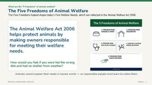 Load image into Gallery viewer, KS2 Animal Welfare Act &amp; Pet Safety L2
