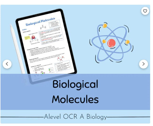 OCR A A-level Biology Biological Molecules Revision Notes