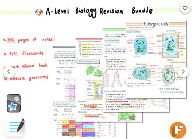 ULTIMATE A-Level Biology Revision Bundle | Complete Notes | Flashcards | Mark Scheme Bank