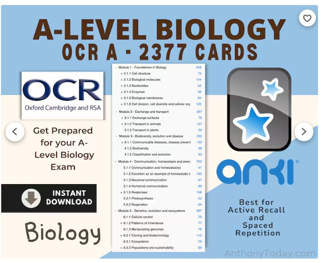 OCR Biology – Yum Yum Mama
