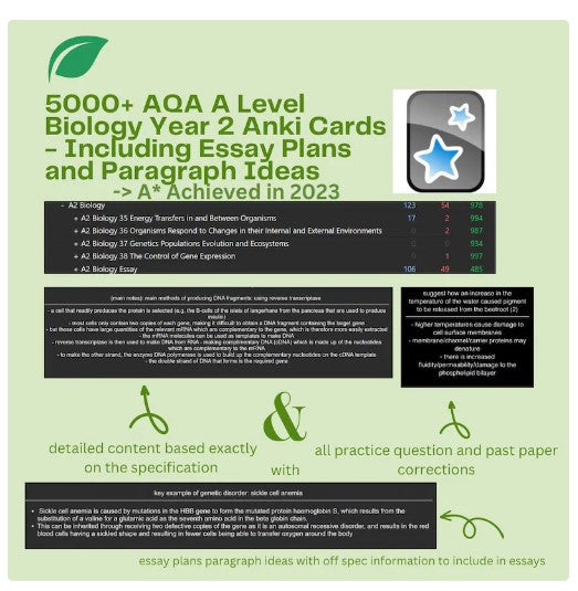AQA A Level Biology Anki Flashcards (Year 2 Only) - Including Essay Plans and Essay Paragraph Ideas - From an A* Student