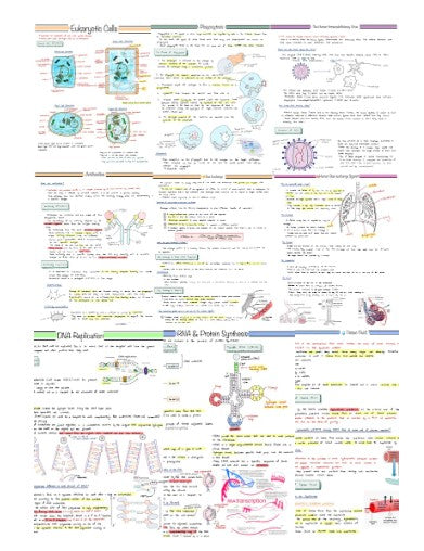 ULTIMATE A-Level Biology Revision Bundle | Complete Notes | Flashcards ...