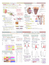 Load image into Gallery viewer, ULTIMATE A-Level Biology Revision Bundle | Complete Notes | Flashcards | Mark Scheme Bank
