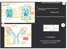 Load image into Gallery viewer, ULTIMATE A-Level Biology Revision Bundle | Complete Notes | Flashcards | Mark Scheme Bank
