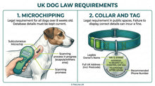 Load image into Gallery viewer, KS2 Making Laws, the Justice System and a Canine Example L2
