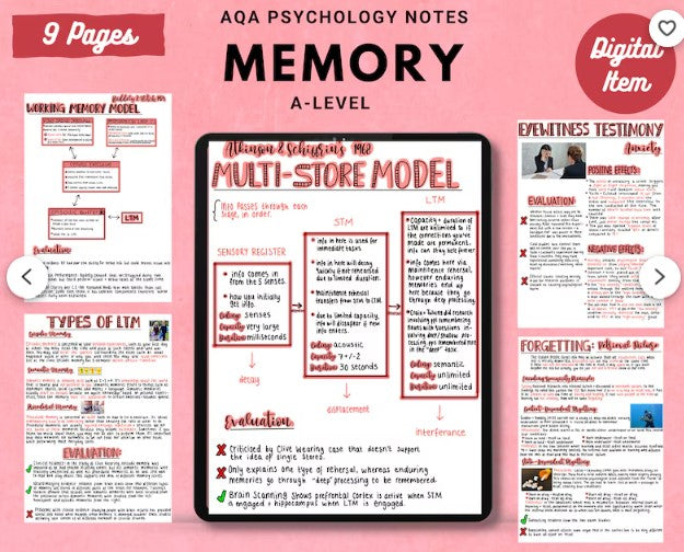 AQA A-level Psychology full condensed notes: MEMORY printable notes