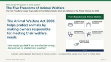 Load image into Gallery viewer, KS2 Animal Welfare Act &amp; Pet Safety L3

