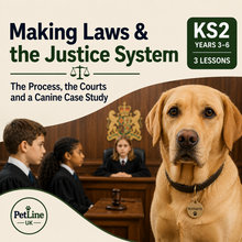 Load image into Gallery viewer, KS2 Making Laws, the Justice System and a Canine Example L3
